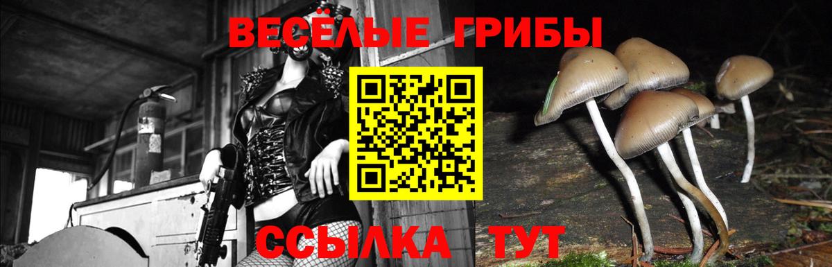 Псилоцибиновые грибы MAGIC MUSHROOMS  Вход с VPN  Татарск 